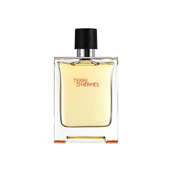 Hermes Terre d´Hermes EDT - 100ml